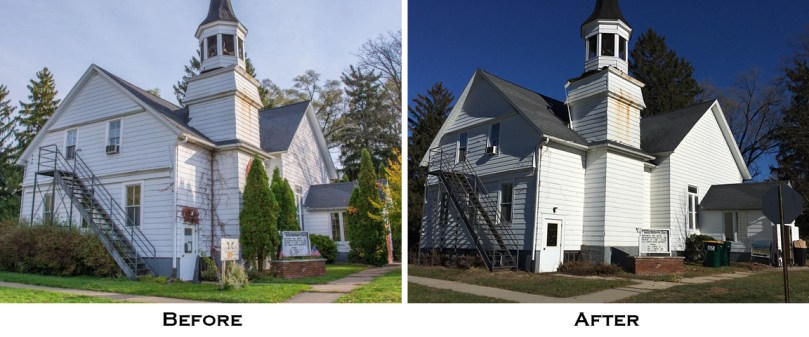 arborvitae before and after