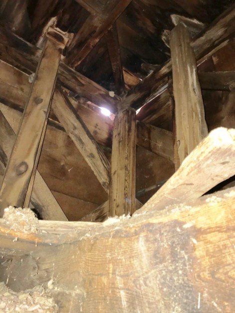 daylight in the belfry