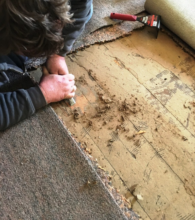 pine floors