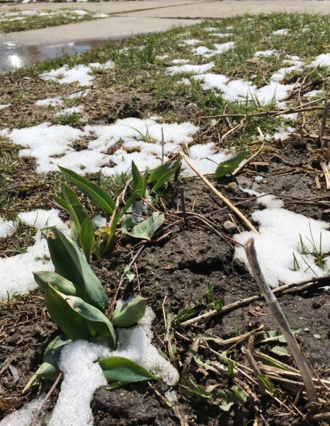 after the long winter