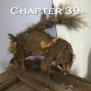 Chapter 39