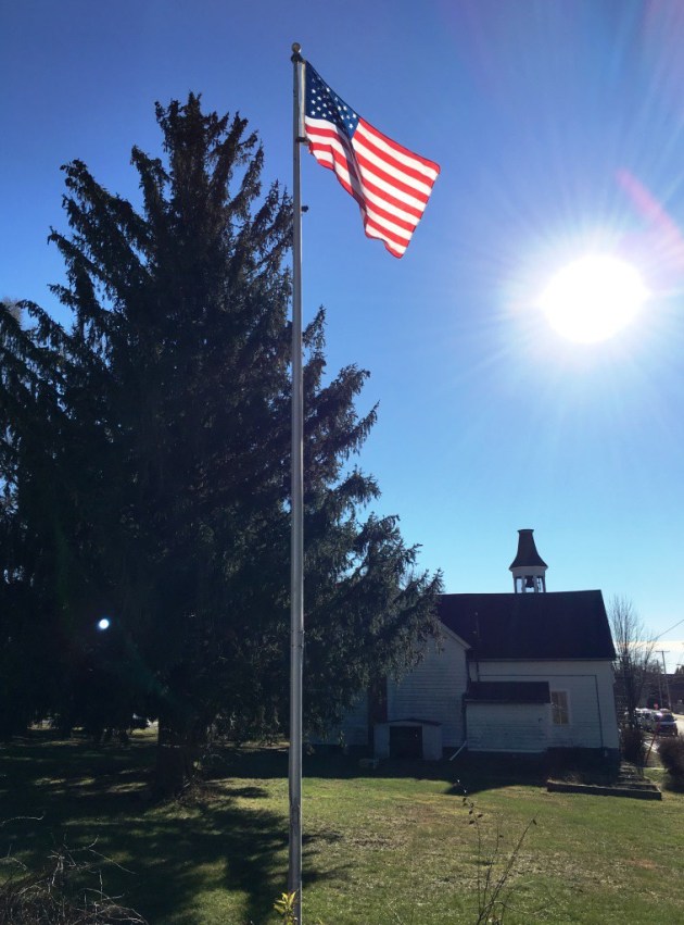 back yard when we bought it