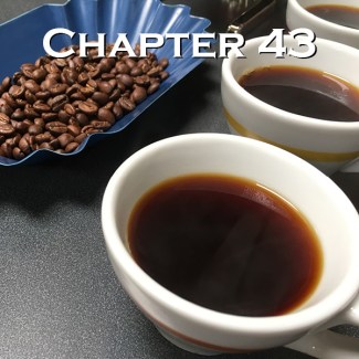 Chapter 43