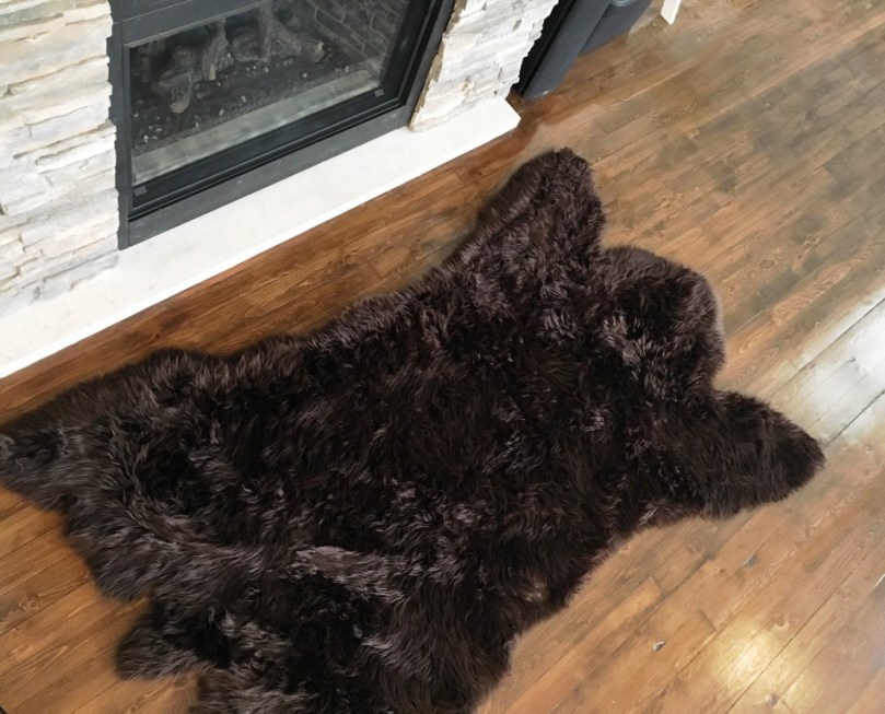 bear rug
