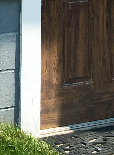 side door wood grain